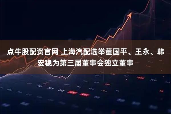 点牛股配资官网 上海汽配选举董国平、王永、韩宏稳为第三届董事会独立董事