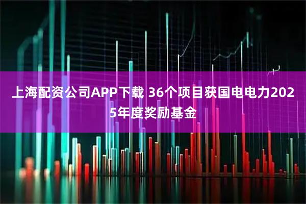 上海配资公司APP下载 36个项目获国电电力2025年度奖励基金