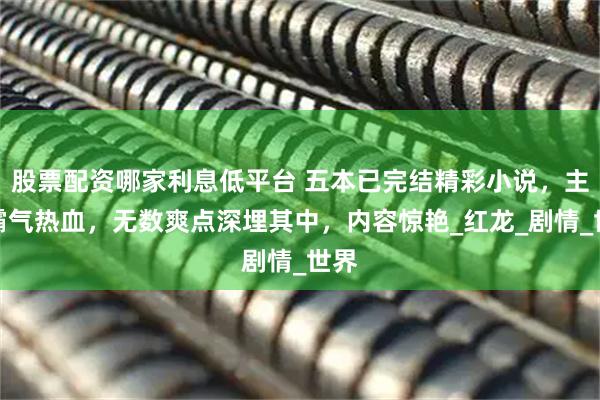 股票配资哪家利息低平台 五本已完结精彩小说，主角霸气热血，无数爽点深埋其中，内容惊艳_红龙_剧情_世界