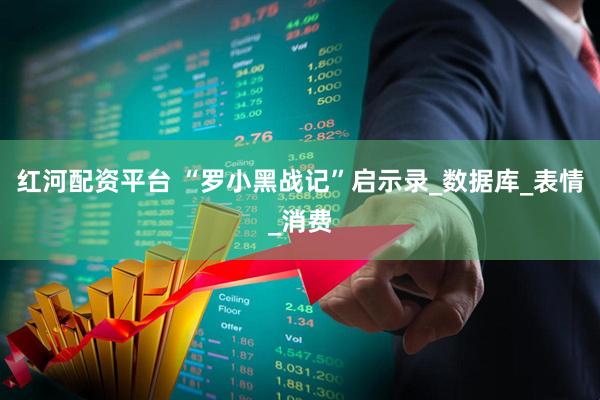 红河配资平台 “罗小黑战记”启示录_数据库_表情_消费