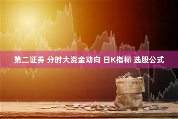 第二证券 分时大资金动向 日K指标 选股公式